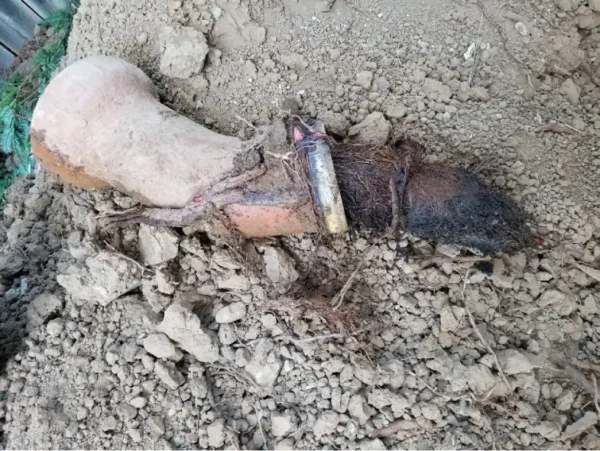 Sunnyvale sewer line repair